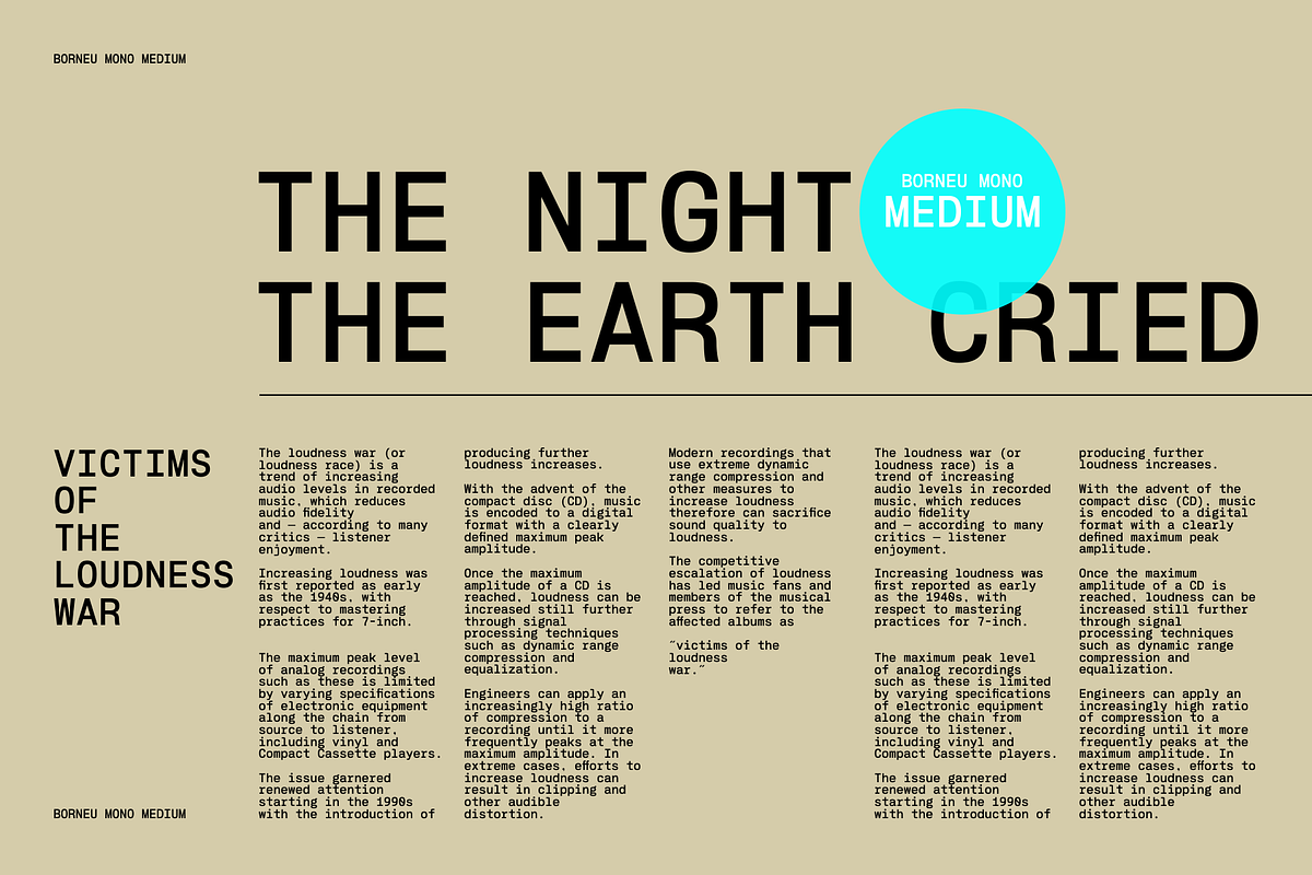 Borneu Mono Regular, a Sans Serif Font by BorneuStd (Photo 6 of 10)