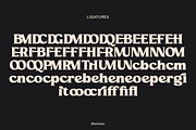 Blankies, a Serif Font by Zaloma Studio (Thumbnail 15 of 15)