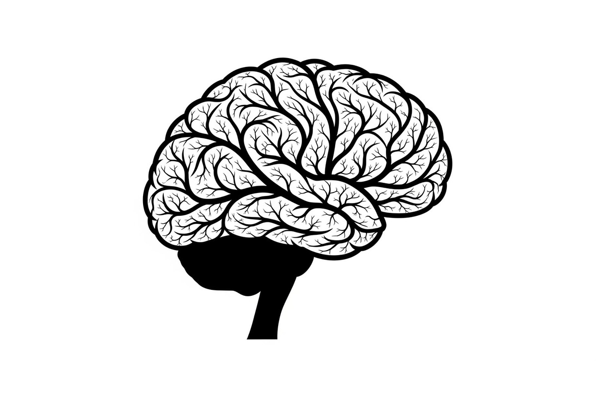 Brain Tree Knowledge Design Bundle, an Illustration by Gaye Art (Photo 18 of 31)