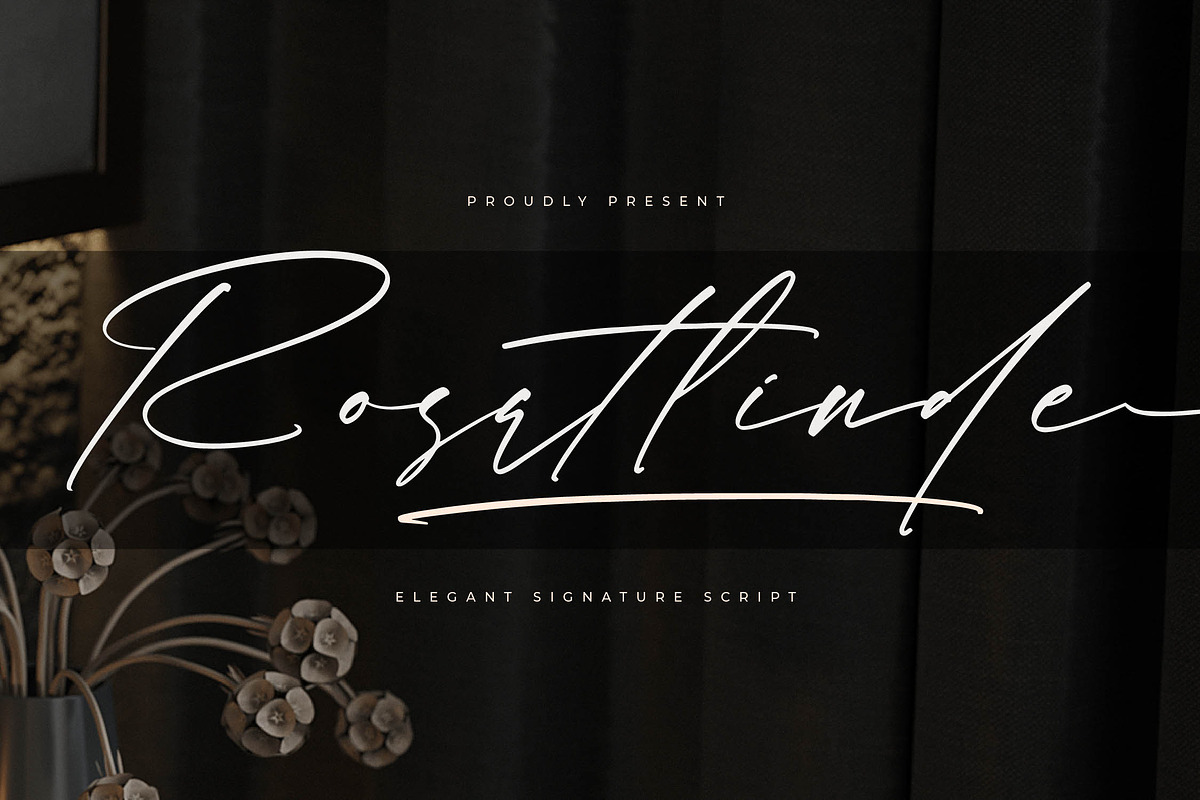 Rosatlinde Elegant Signature Script, a Script Font by Letterena Studios Script (Photo 1 of 15)