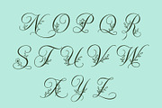 Alverose - Secret Garden Script, a Script Font by HypeWorksCo (Thumbnail 15 of 17)
