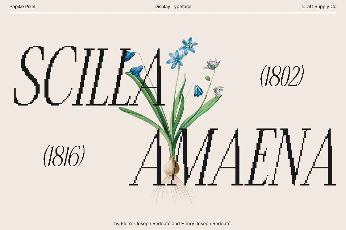 Papike Pixel, a Serif Font by Craft Supply Co. (Photo 6 of 8)