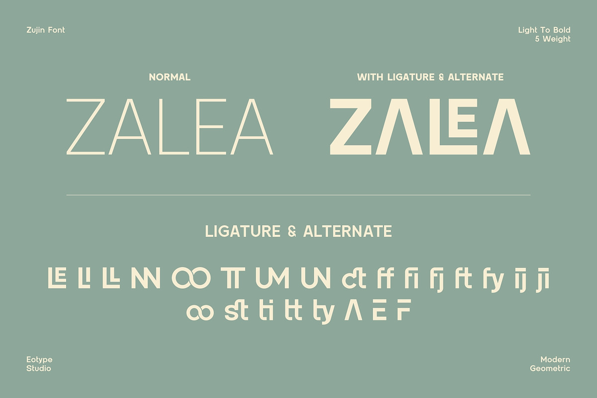 Zujin - Geometric Sans-Serif, a Font by Eotype Studio (Photo 9 of 12)