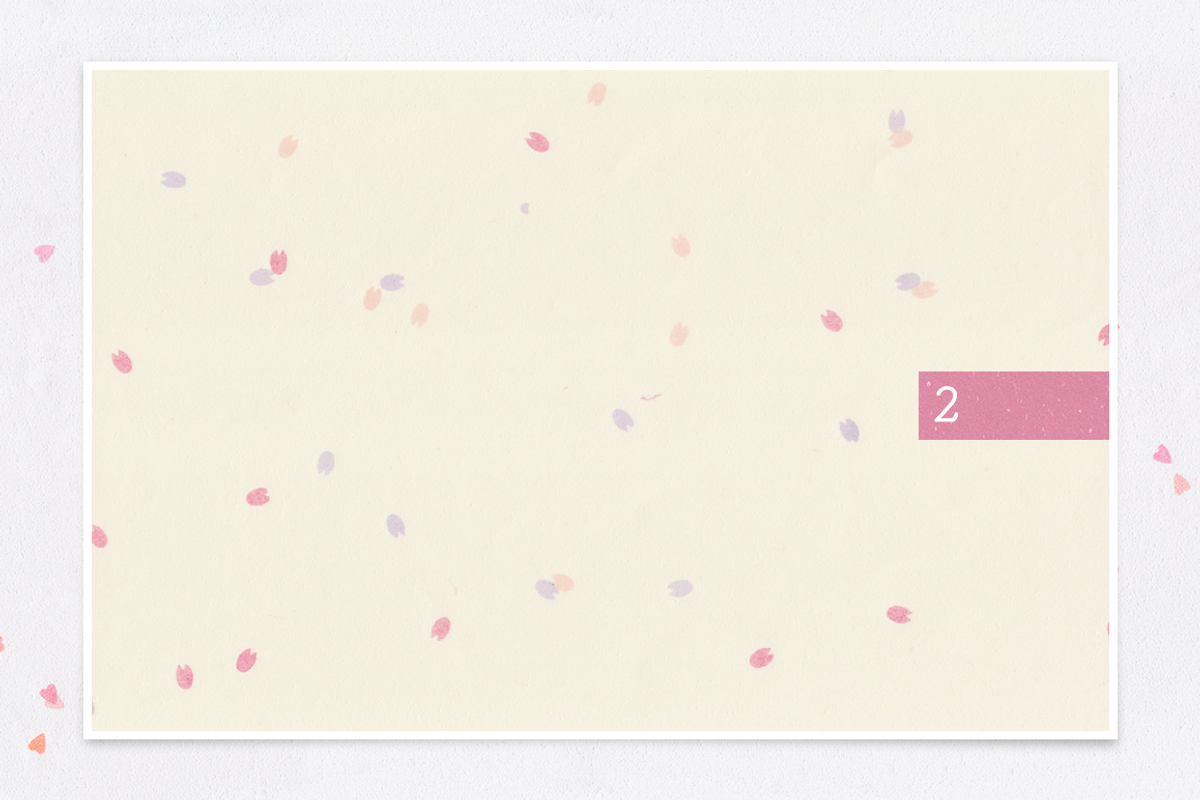WASHI Japanese Papers 2, a Texture Graphic by Hanko Goods (Photo 6 of 10)