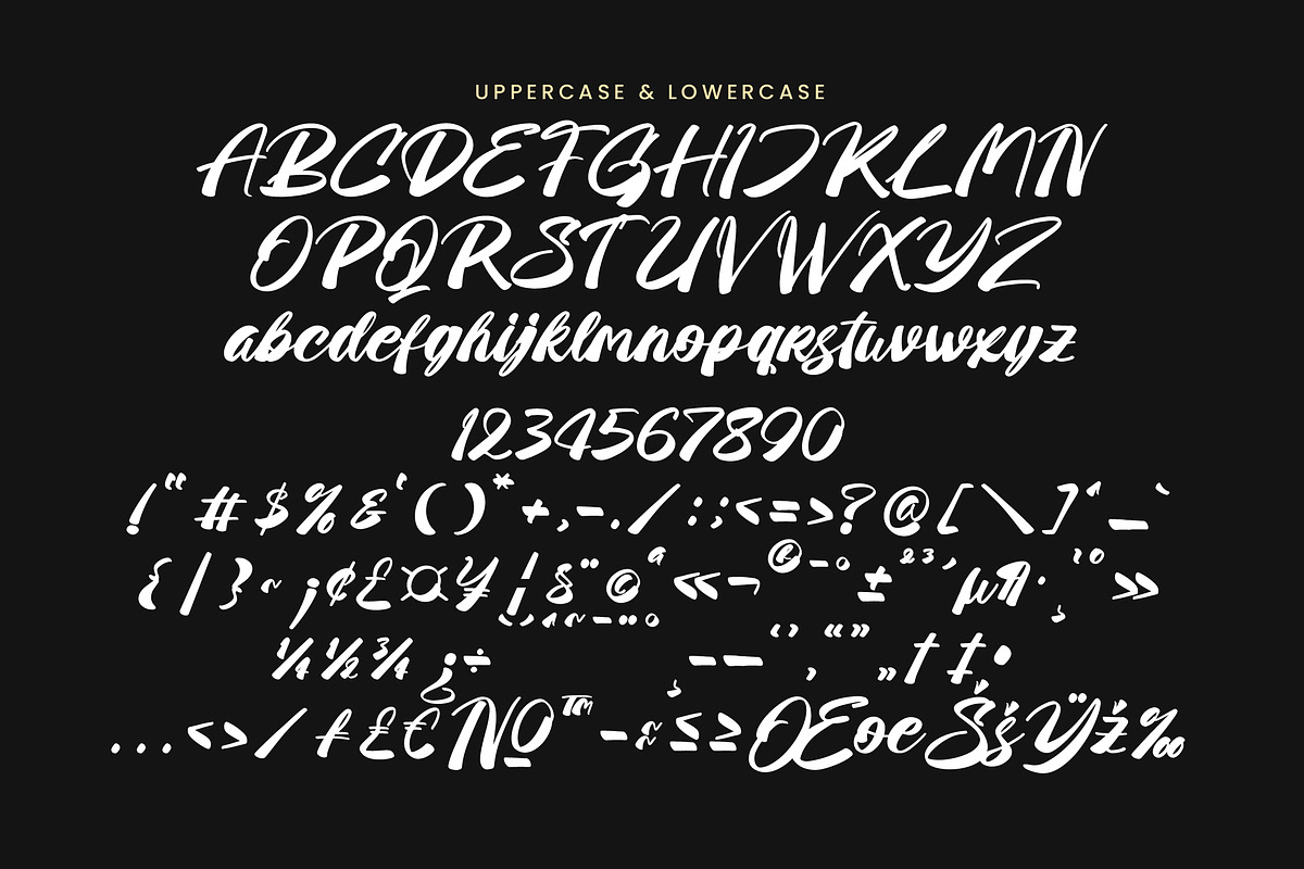 Moments Stories Bold Handwritten, a Handwritten Font by operatype.co (Photo 9 of 10)