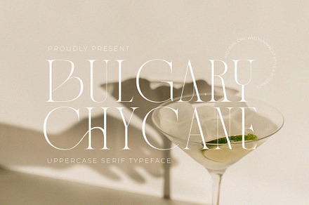 Bulgary Chycane, a Serif Font by Violet Natural