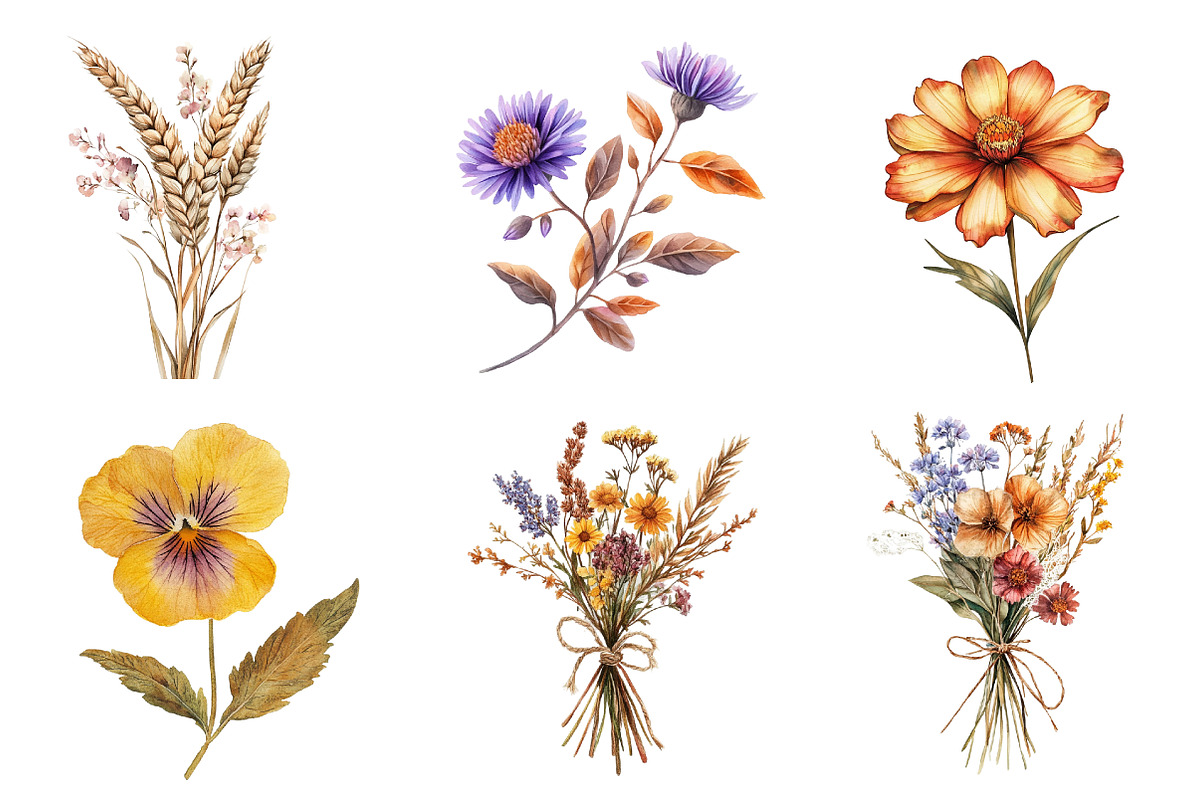 Autumn Wildflowers Clipart, an Illustration by CreationArt (Photo 4 of 5)
