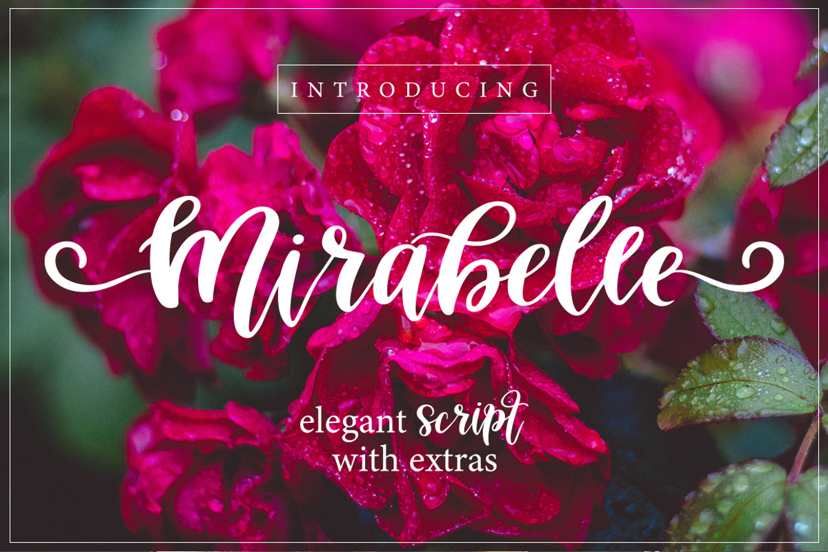 Mirabelle Script - Font with Extras!