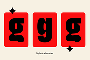 Chumbo, a Sans Serif Font by Haus Type (Thumbnail 6 of 6)