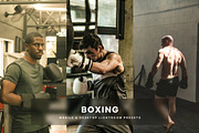 Boxing Lightroom Presets, a Preset Add-On by Brand Earth (Thumbnail 1 of 4)