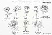 Birth Flower Procreate Brush Stamps, a Brush Add-On by Murphy & Frank (Thumbnail 4 of 4)