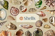 Oceanic Archive Sea Elements Bundle, an Object Graphic by The Ephemera Mercadito (Thumbnail 2 of 6)