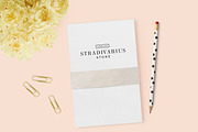 250 Minimal Logo Bundle, a Branding & Logo Template by MinimalStudioCo (Thumbnail 6 of 10)