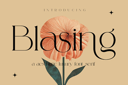 Blasing Aesthetic Serif Font, a Serif Font by Alfinart