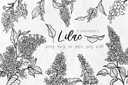 Lilac Flowers Line Art SVG, an Object Graphic by Dervik Art Store (Thumbnail 1 of 7)