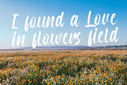 Honeymoon - Handwritten Font, a Script Font by StringLabs (Thumbnail 7 of 10)