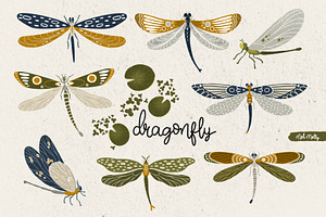Dragonflies