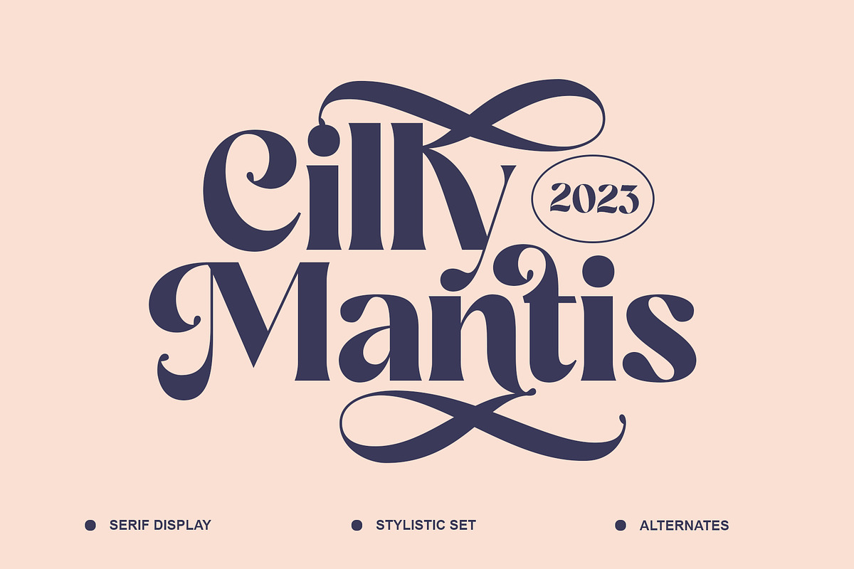 Cilly Mantis, a Serif Font by INKSUN™ (Photo 1 of 8)