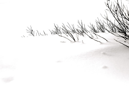 Cold Sticky Weather
