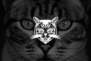 Wild Cat Mascot Logo, a Branding & Logo Template by Luxury Logos (Thumbnail 2 of 4)