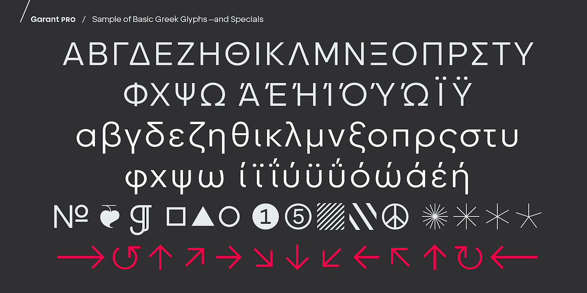 BF Garant Pro, a Sans Serif Font by BrassFonts (Photo 11 of 12)