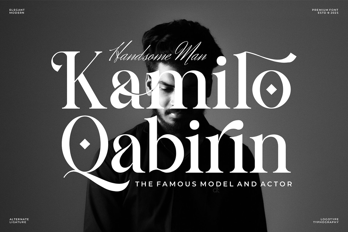 Arilaco || Modern Classy Serif Font, a Serif Font by Ermedia Studio (Photo 7 of 10)
