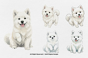 15 Bundle Watercolor White Puppy Dog, an Animal Illustration by Morspective (Thumbnail 7 of 8)