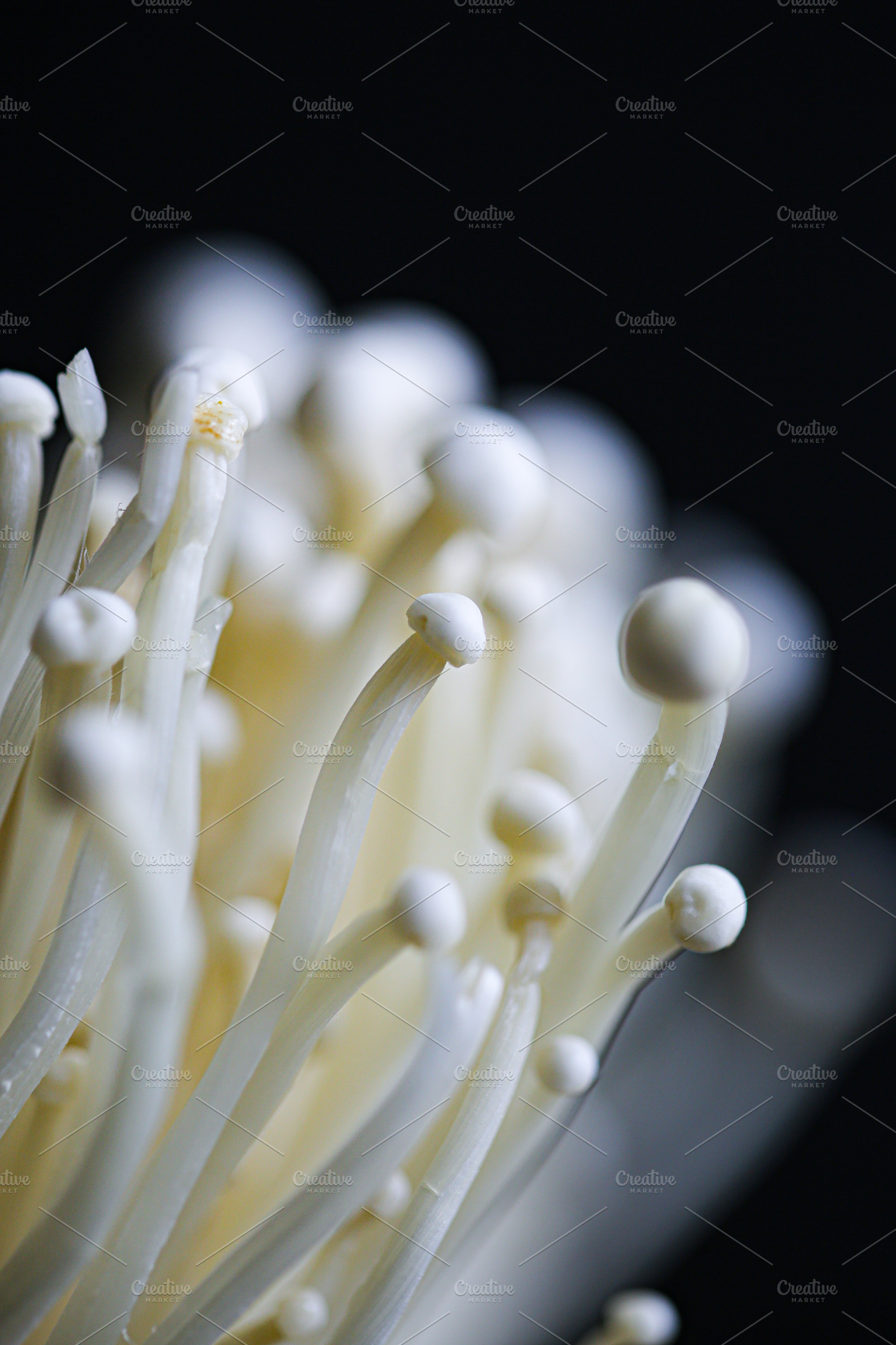 Enoki mushroom, a Food & Drink Photo by The Little Wild Apple