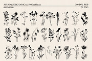 Shadow Bloom Analog Botanical PNG, an Object Graphic by DreamoraArt (Thumbnail 2 of 10)