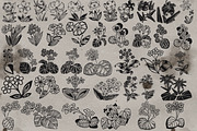 Old style flower stamps Procreate, a Brush Add-On by TheWhiteCatLab (Thumbnail 4 of 5)
