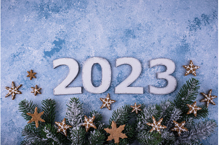 2023 New Year and Christmas, a Holiday Photo by Yulia Furman