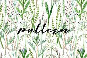 Poppies. Watercolor clip art., an Illustration by Anyuka (Thumbnail 5 of 5)