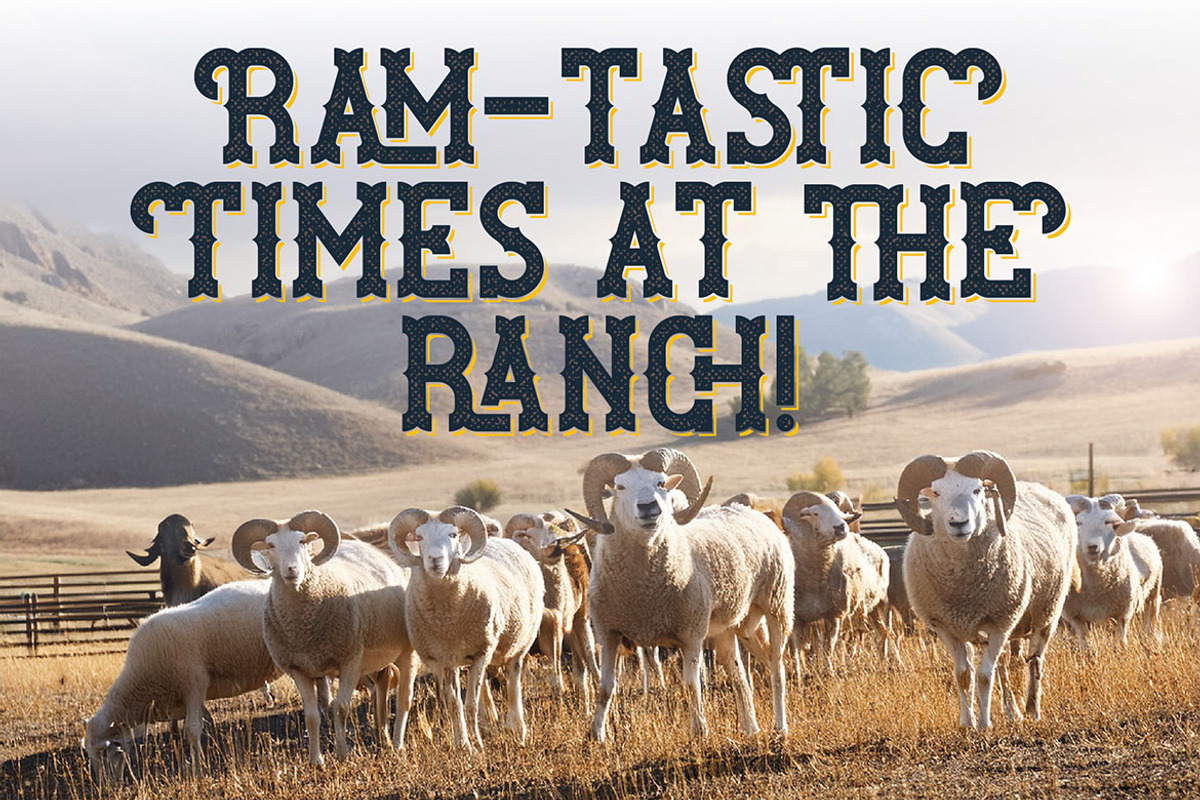 Ram Ranch Western Layered Font, a Serif Font by JumboDesign (Photo 4 of 6)