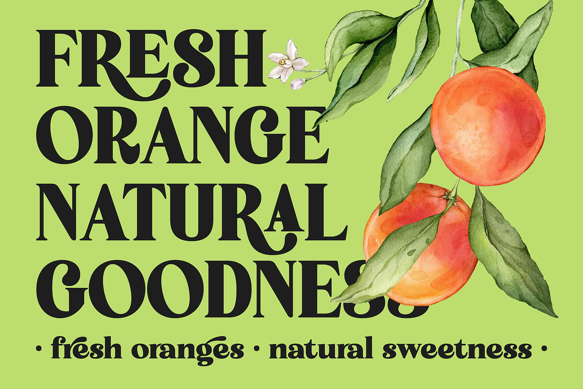 Forest Wonders New Collection Serif, a Serif Font by timelesstype.co (Photo 6 of 10)
