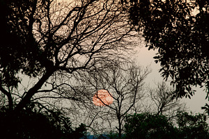 Behind The Sunset