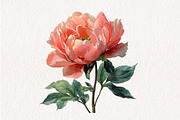 Watercolor Easter Clipart, an Illustration by CreationArt (Thumbnail 8 of 10)
