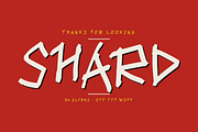 Shard — Rough Marker Display Font, a Handwritten Font by Lettra Studio (Thumbnail 15 of 15)