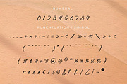 Poleemanik, a Script Font by Integritype Studio (Thumbnail 10 of 15)