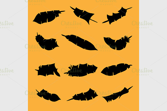 Set Of Feathers