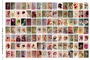 Bloom Atelier | 345 stock images, a Nature Photo by Tale.Haus (Thumbnail 15 of 20)
