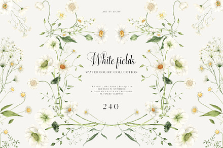 White Fields wildflowers flora, an Education Illustration by LiChu Art