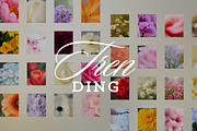 Floral Nature Backgrounds VOL4, a Background Graphic by digital.incubator.yum (Thumbnail 10 of 10)