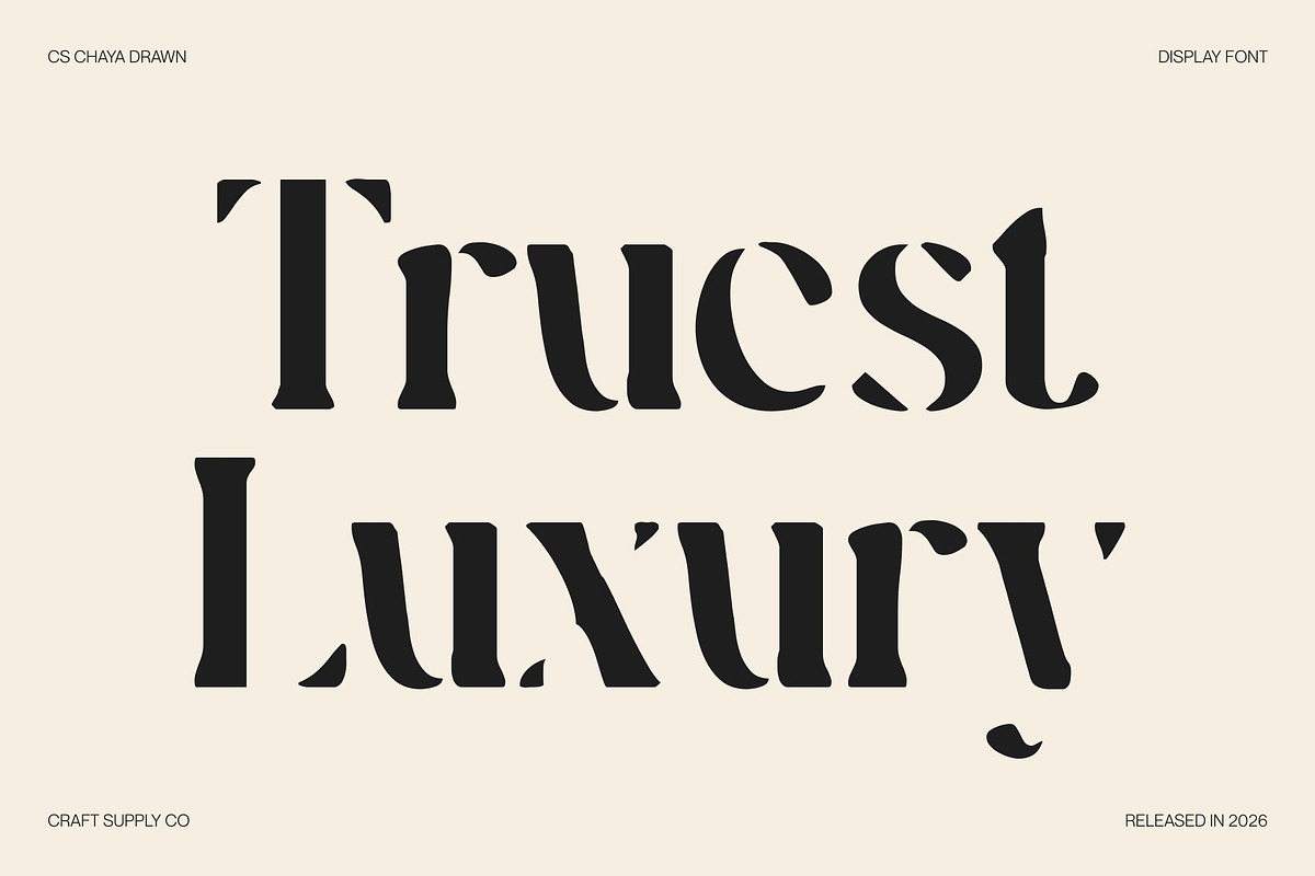 CS Chaya Drawn, a Serif Font by Craft Supply Co. (Photo 2 of 8)