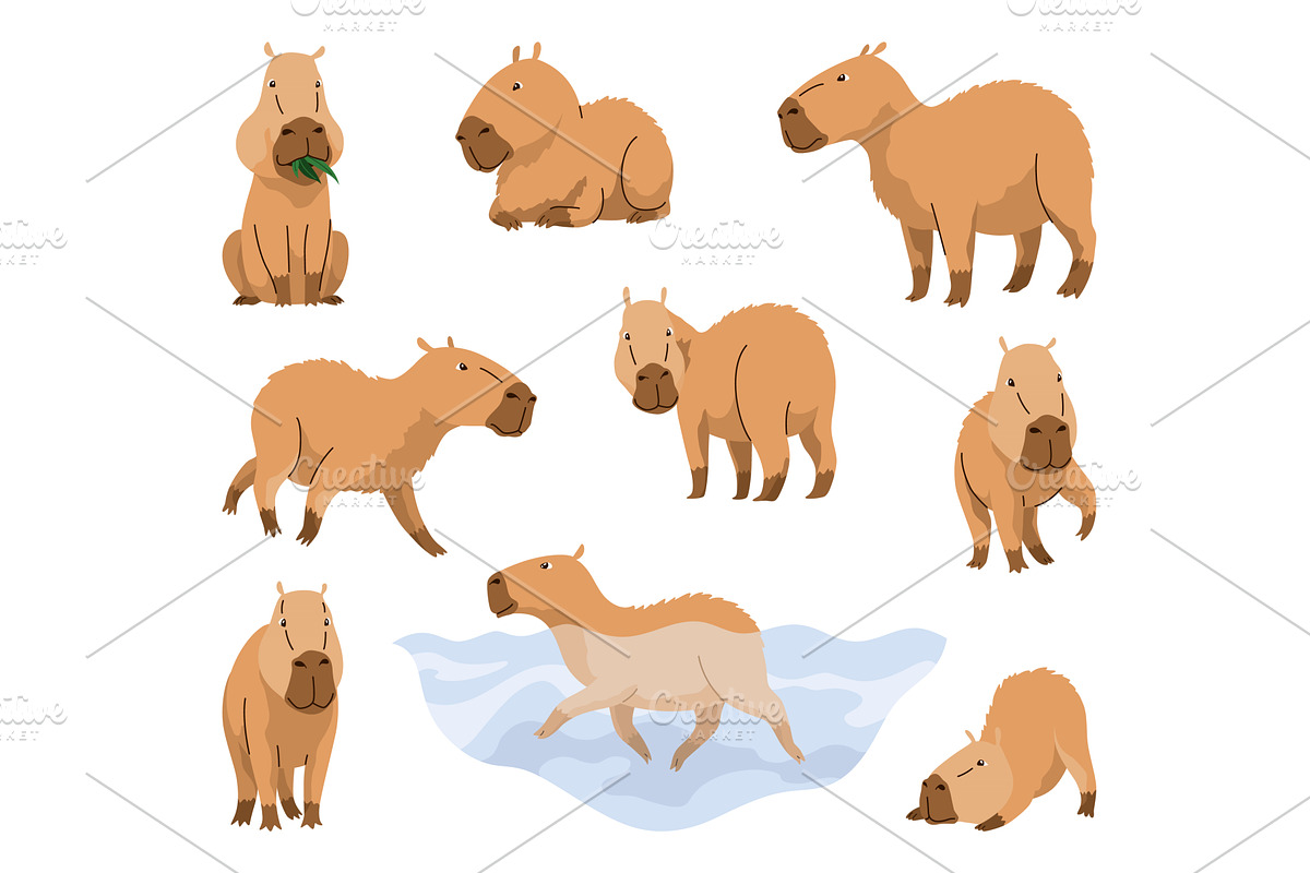 Capybaras. Cartoon cute animal, wild, an Animal Illustration by the8monkey