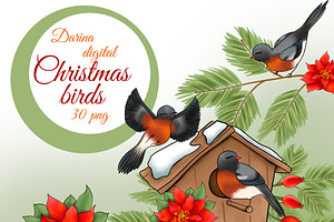 Christmas Birds Clipart