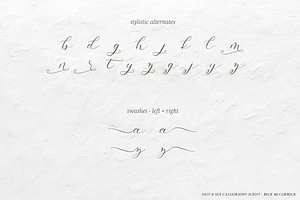 Salt And Sea Calligraphy Font