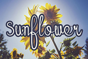 Sunflower, a Script Font by Roni Studio (Thumbnail 1 of 3)