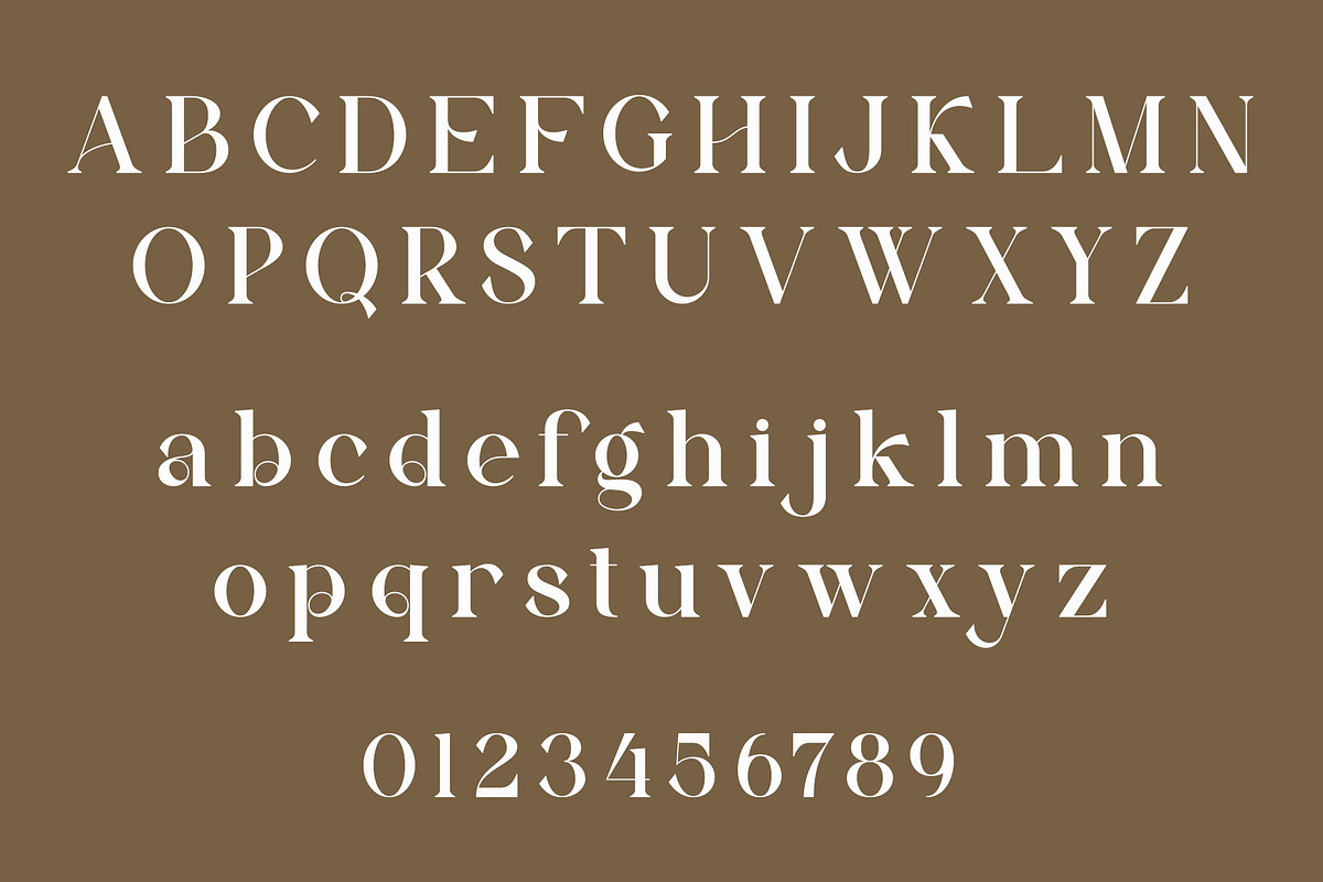 Rilvan - Modern Typface Serif, a Serif Font by AnnofaType (Photo 6 of 8)