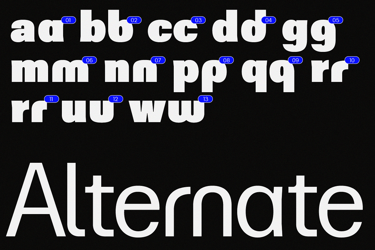 ZT Moven Sans - 22 Fonts & Variable, a Sans Serif Font by zelow type (Photo 2 of 18)