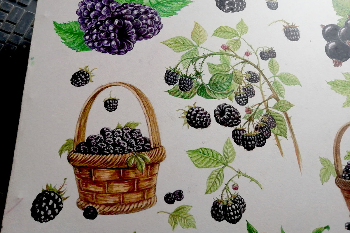 Fruits and berries collection_part 1, an Illustration by ZotovShop (Photo 15 of 20)